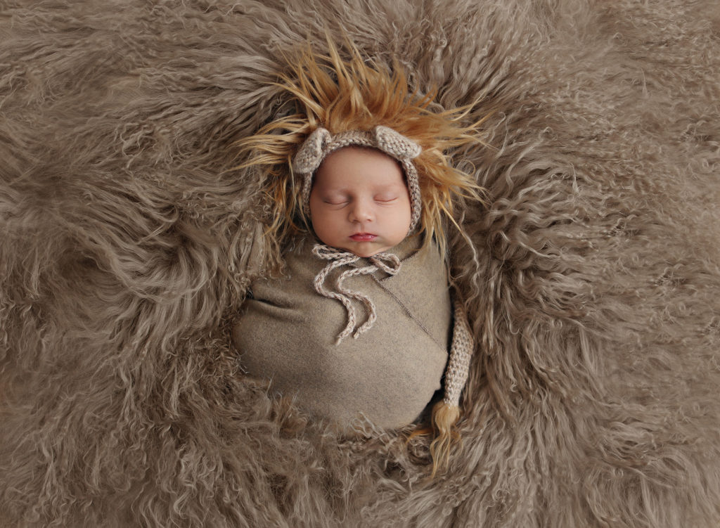 Sleeping newborn baby wearing a lion hat nestled in a fluffy blanket, photographed with care in a La Jolla newborn photography session