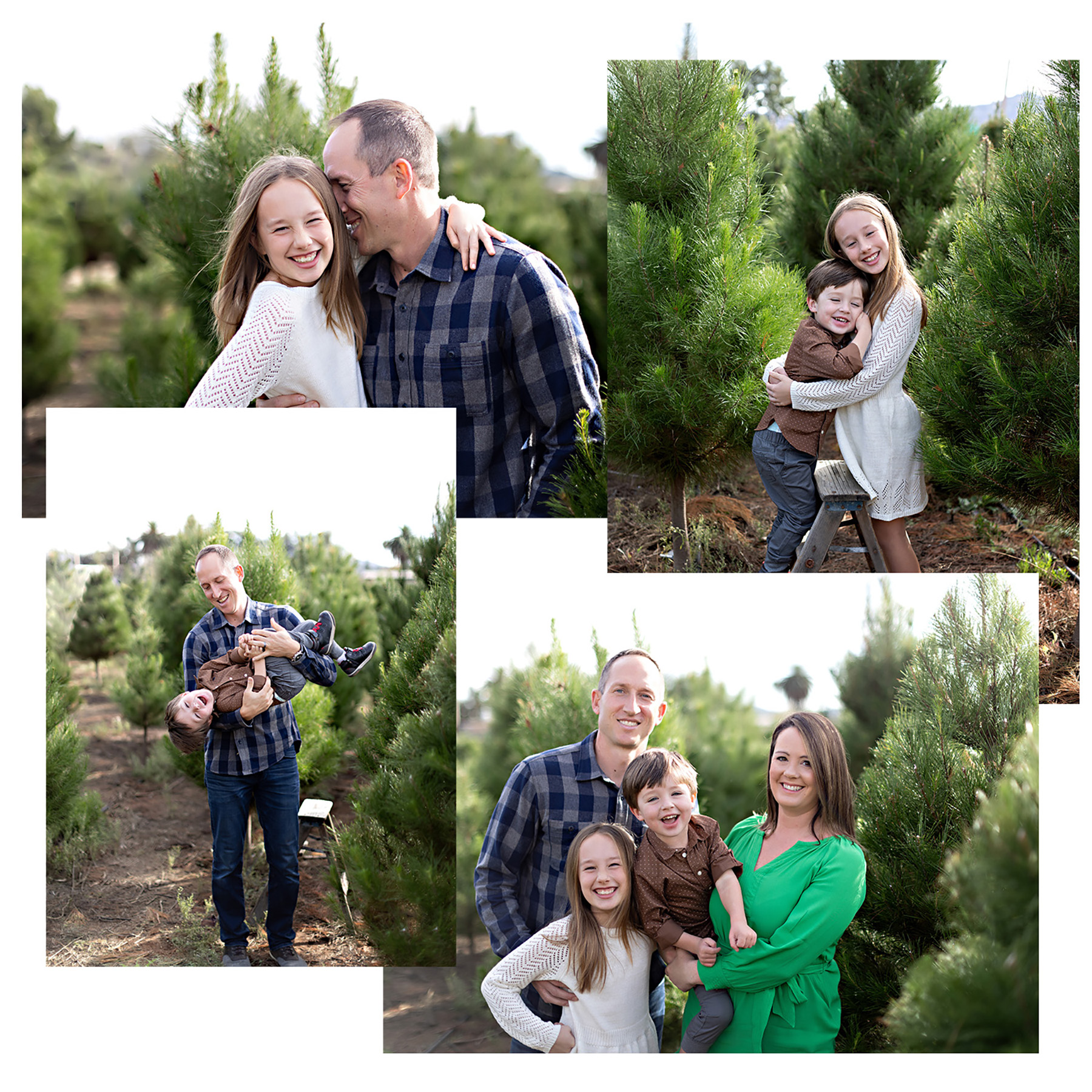 San Diego Christmas Mini Session at the Christmas Tree Farm El Cajon